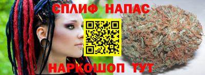 круглые Тара