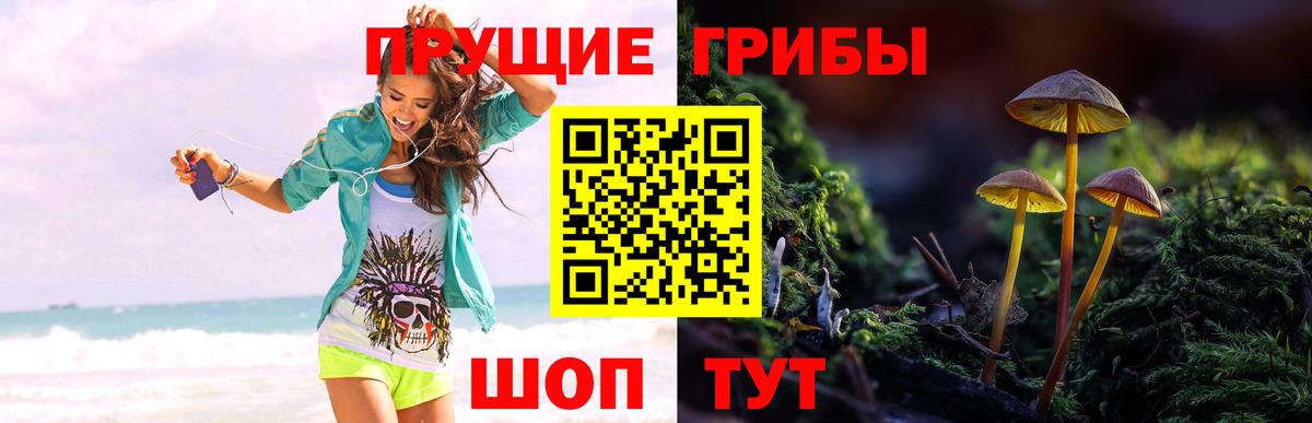 Артём  Псилоцибиновые грибы Cubensis  Вход с VPN  Галлюциногенные грибы Magic Shrooms 